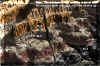 pc_ch4_sites_small.gif